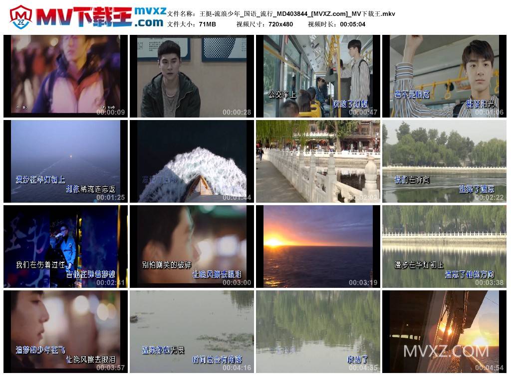 王挺-流浪少年_国语_流行_MD403844
